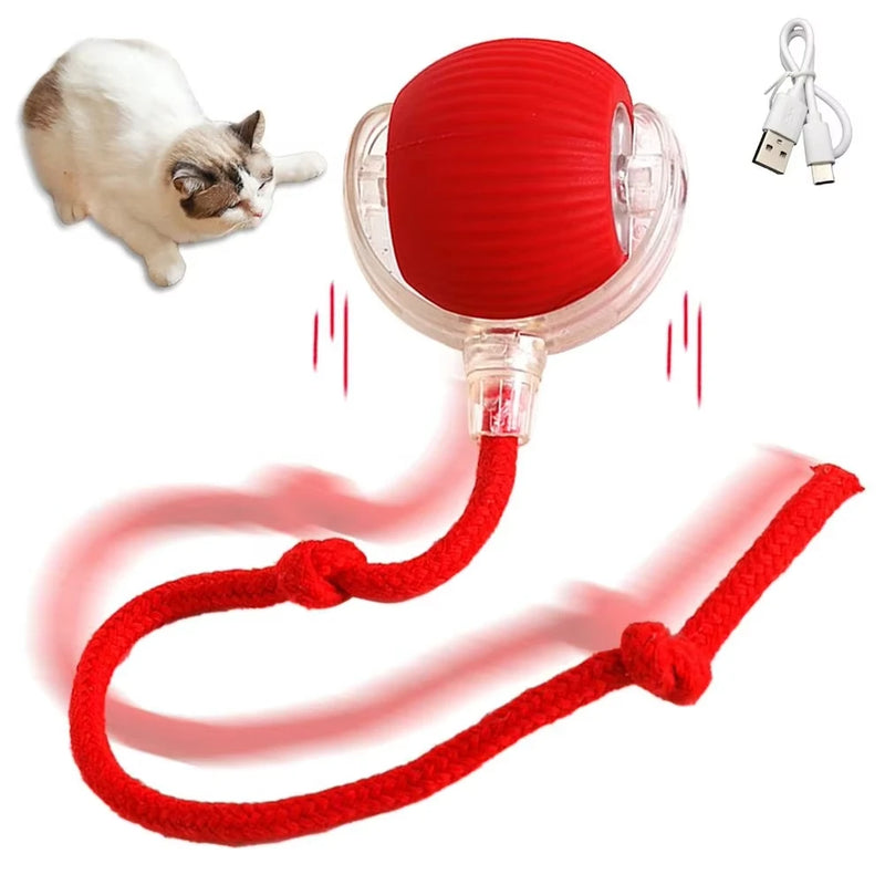 1/2PCS Interactive Cat Toys