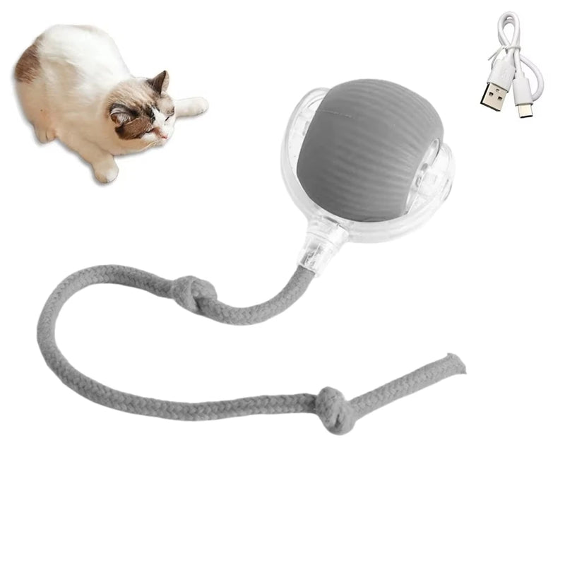 1/2PCS Interactive Cat Toys