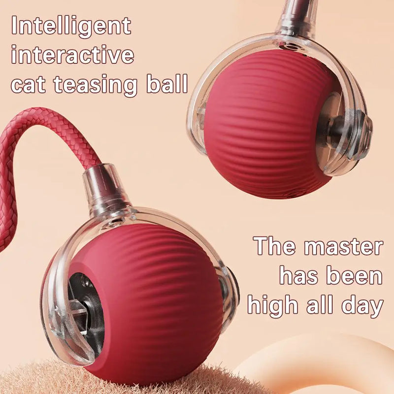 1/2PCS Interactive Cat Toys
