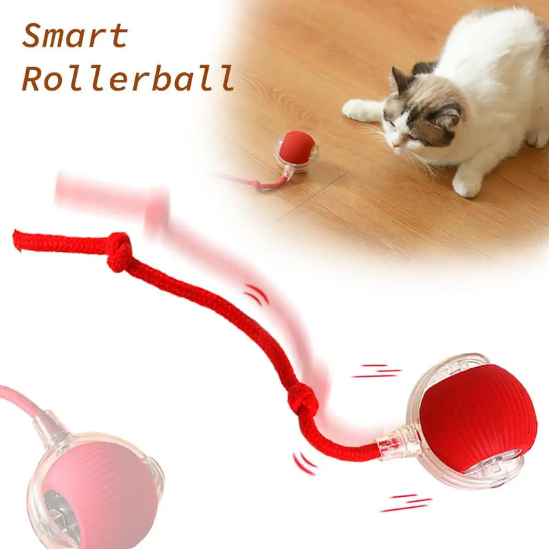 1/2PCS Interactive Cat Toys