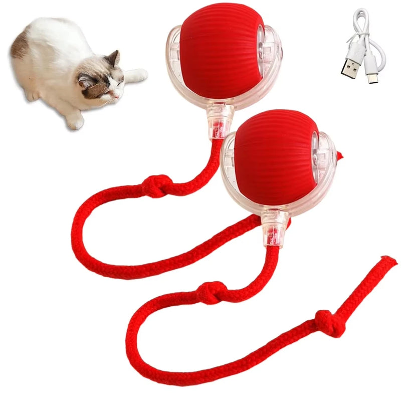 1/2PCS Interactive Cat Toys