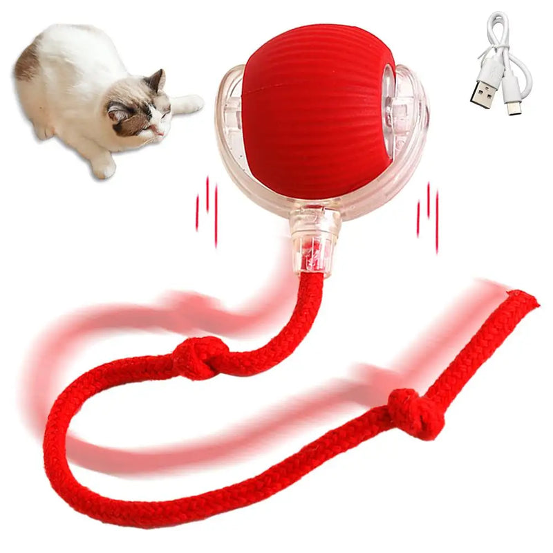 1/2PCS Interactive Cat Toys