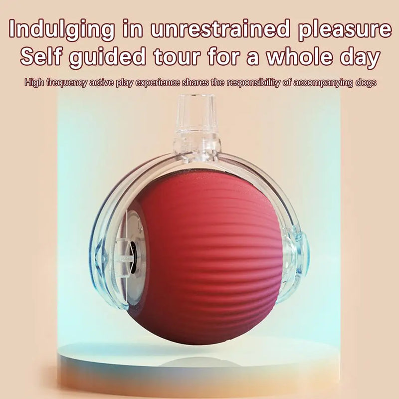 1/2PCS Interactive Cat Toys