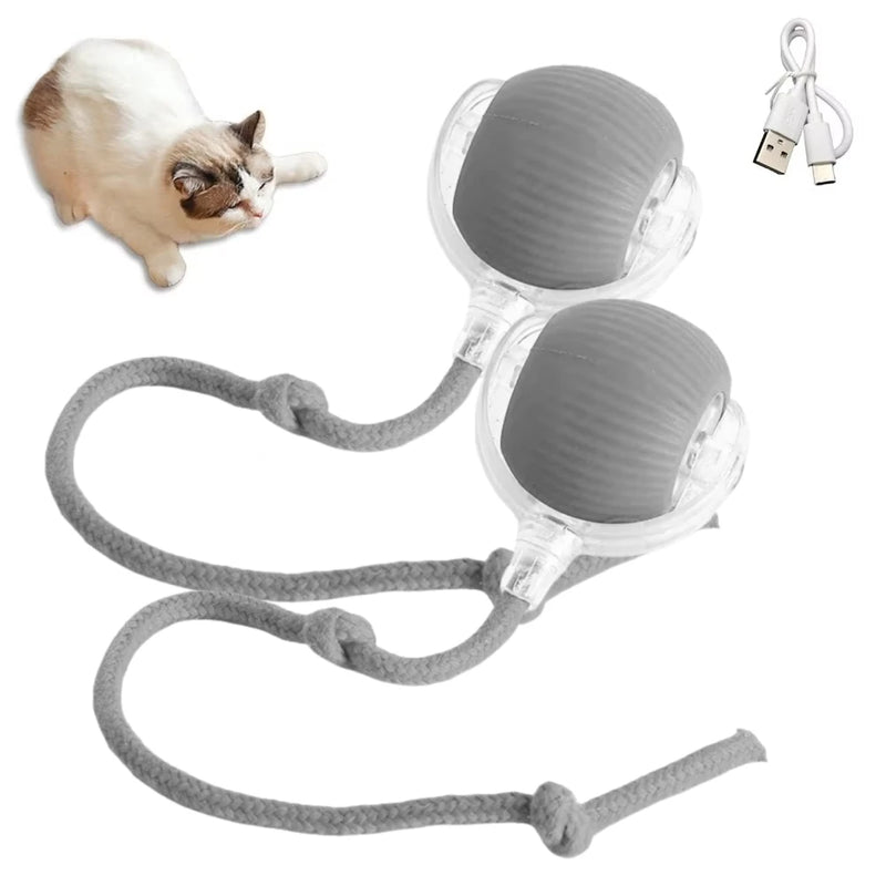 1/2PCS Interactive Cat Toys