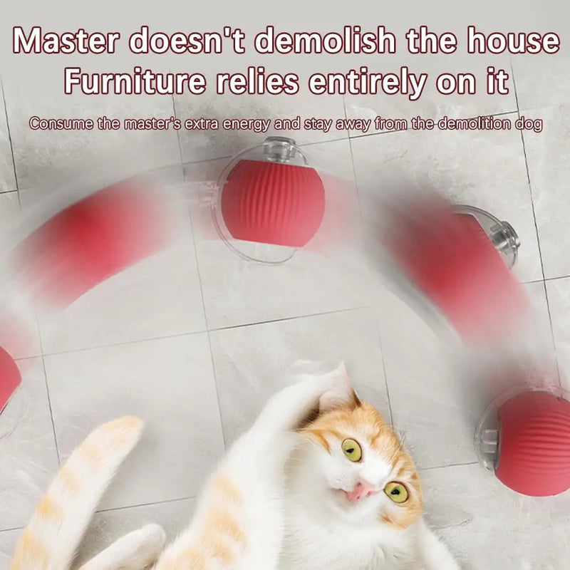 1/2PCS Interactive Cat Toys