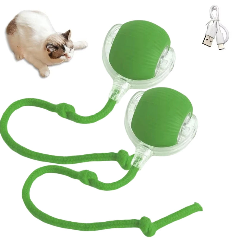 1/2PCS Interactive Cat Toys