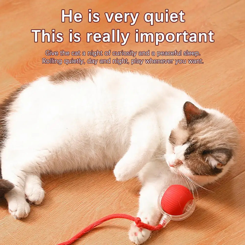 1/2PCS Interactive Cat Toys