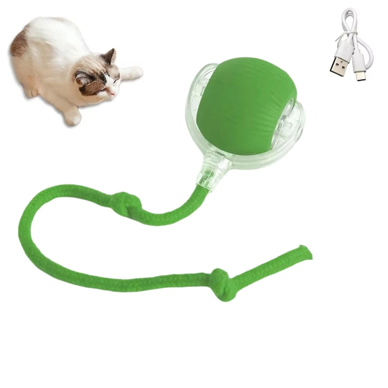 1/2PCS Interactive Cat Toys